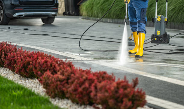 Best Pressure Washing Near Me  in Bylas, AZ