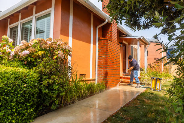 Best Pressure Washing Services Near Me  in Bylas, AZ